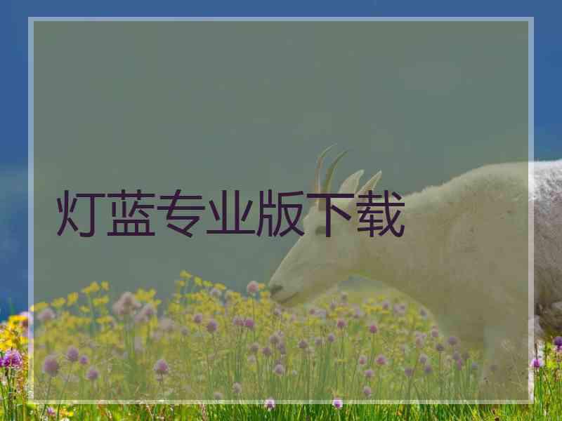 灯蓝专业版下载 灯蓝专业版下载