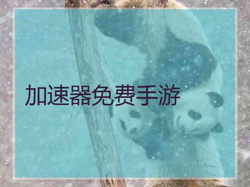 加速器免费手游 加速器免费手游
