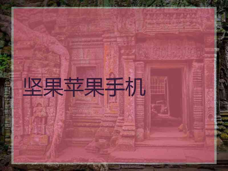 坚果苹果手机 坚果苹果手机