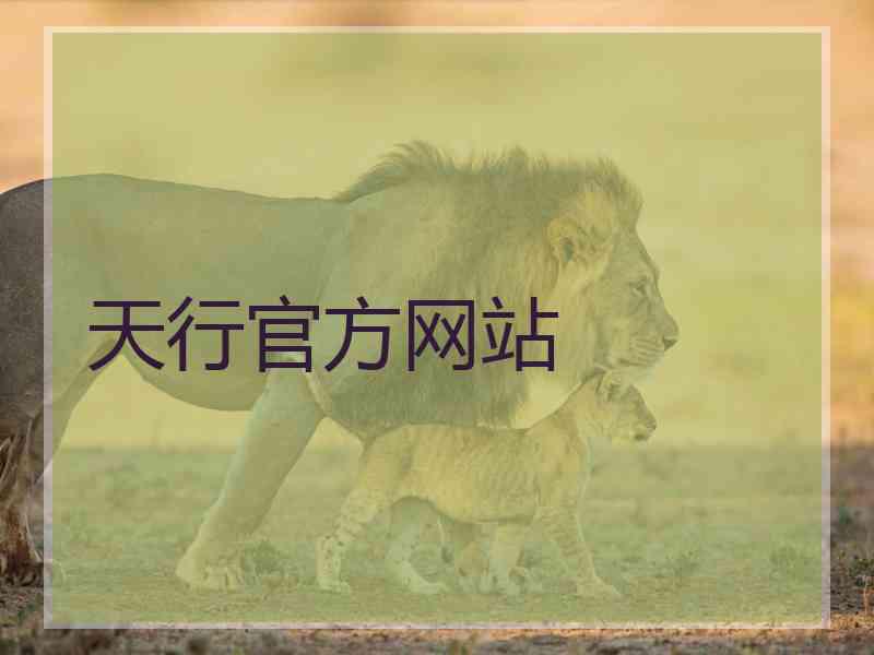 天行官方网站 天行官方网站