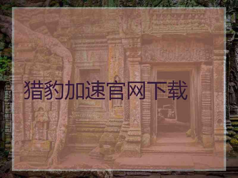 猎豹加速官网下载