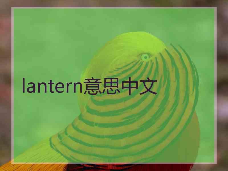 lantern意思中文