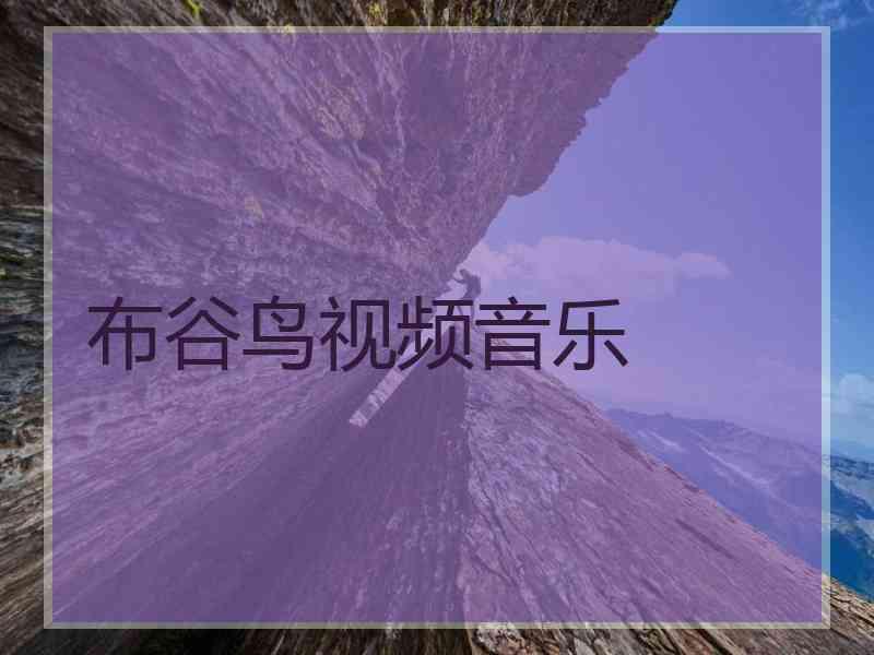 布谷鸟视频音乐