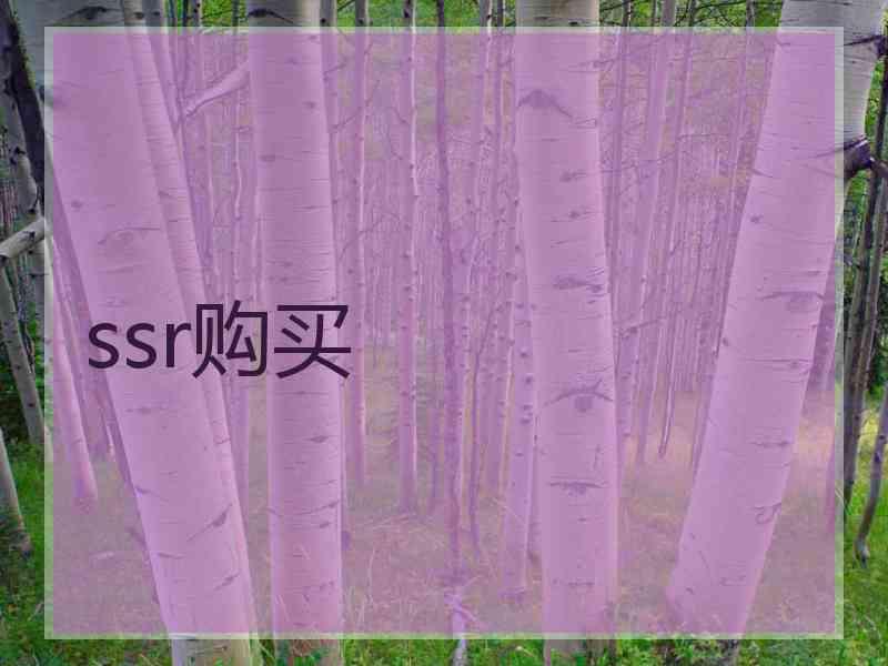 ssr购买