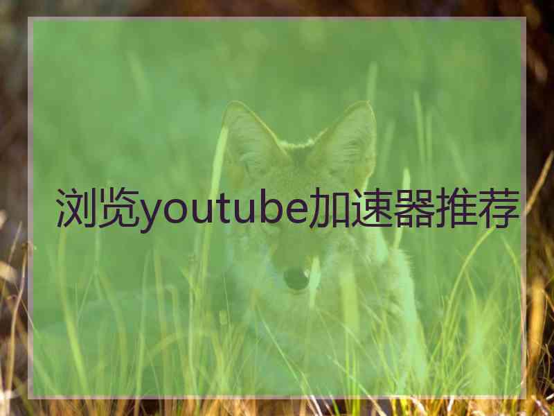 浏览youtube加速器推荐