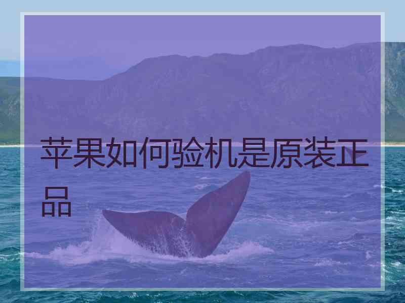 苹果如何验机是原装正品