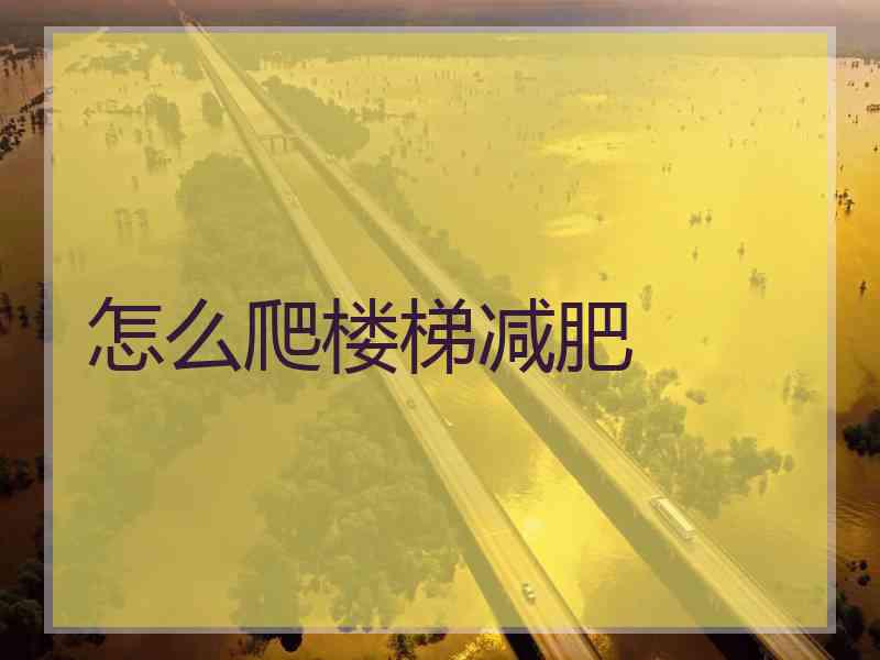 怎么爬楼梯减肥