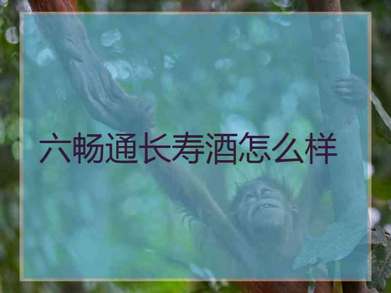 六畅通长寿酒怎么样