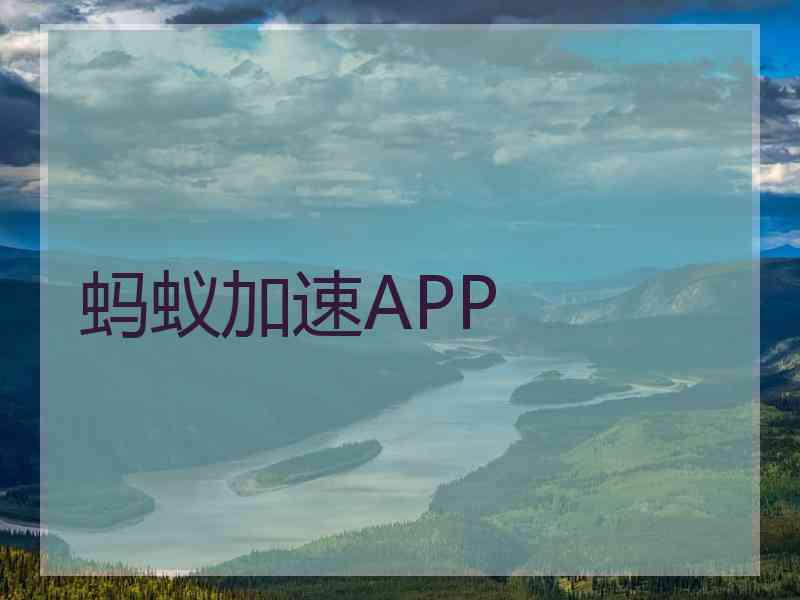蚂蚁加速APP