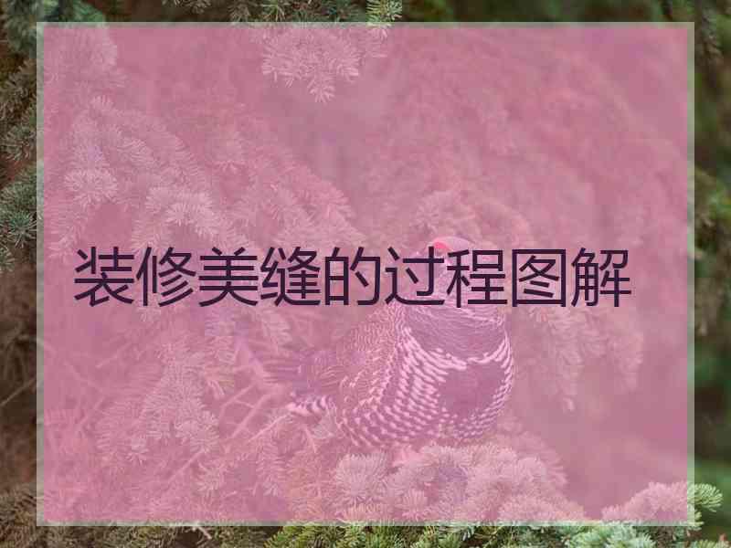 装修美缝的过程图解