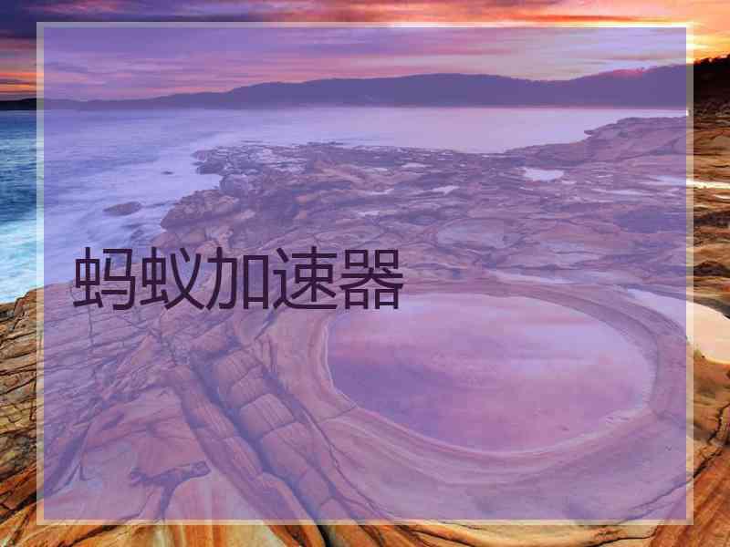 蚂蚁加速器